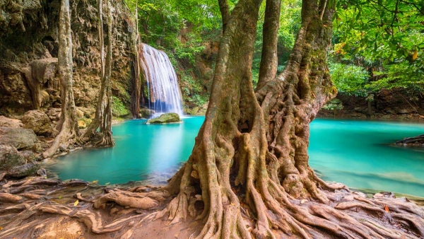 THAIFÖLD, KOH SAMUI ÉS DUBAI CSALÁDI NYARALÁS **** 8. kép