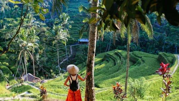 JÁVA - BALI, KÖRUTAZÁS TENGERPARTI PIHENÉSSEL **** 18. kép