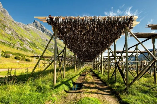 A Lofoten-szigetek csodái: csoportos utazás magyar idegenvezetéssel 2026.08.11-16. 2. kép