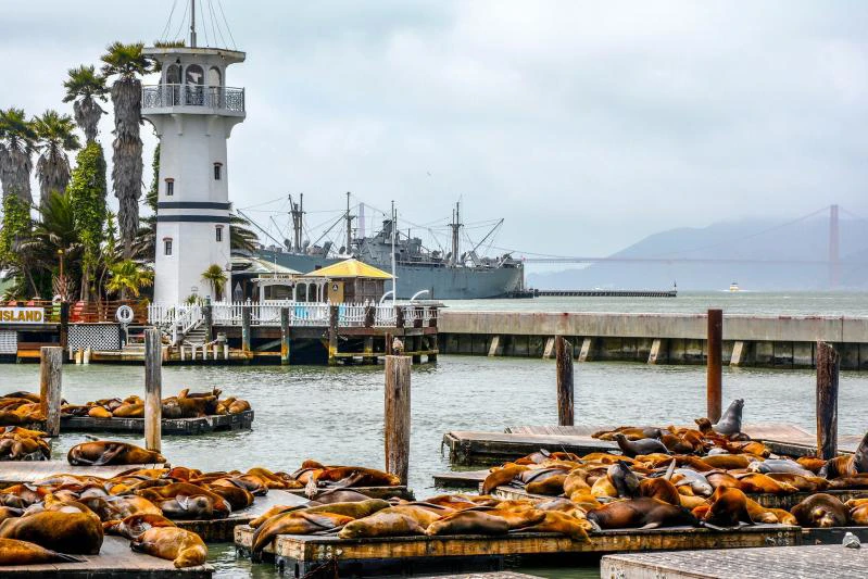 Nyugati Panoráma - magyar idegenvezetéssel 3. kép
