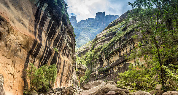 Dél afrika szafari safari utazás repülőjegy fokváros johannesburg pretoria dél-afrikai köztársaság vízum tábla-hegy asztal-hegy jóreménység foka kruger nemzeti park csoportos utazás egyéni utazás biztosítás autóbérlés mortons travel utazási iroda