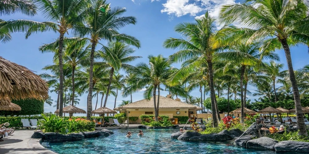 hawaii resort pálmafák medence