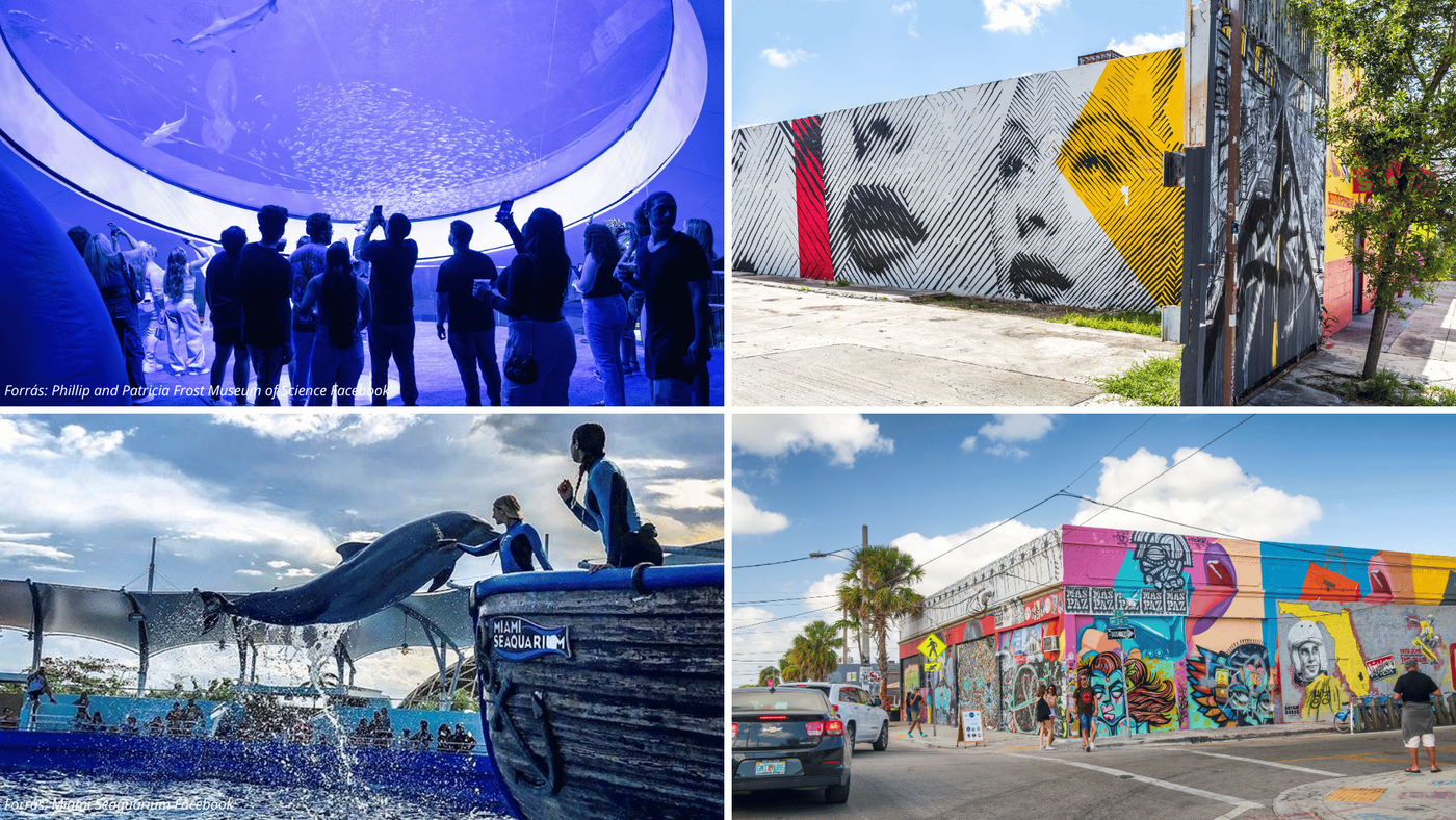 miami látnivalók falfestmények seaquarium wynwood