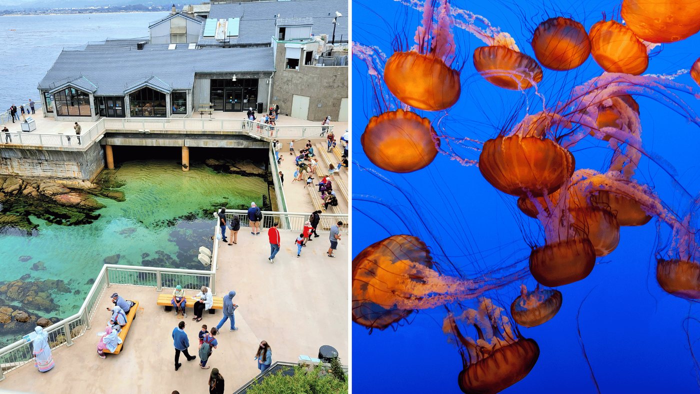 kalifornia monterey színes felszíni és tengeri látnivalói