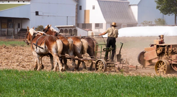 USA Keleti-part és a Niagara-vízesés 4. kép