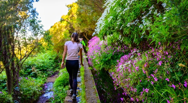 Madeirai vakáció és Lisszabon 1. kép