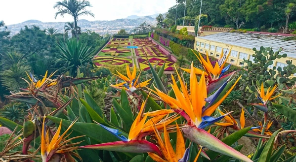 Madeirai vakáció és Lisszabon 2. kép