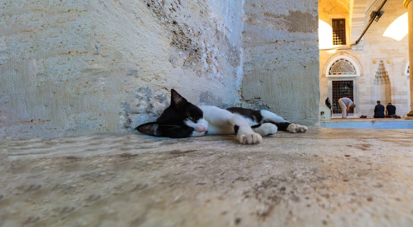 Isztambul városlátogatás 3. kép