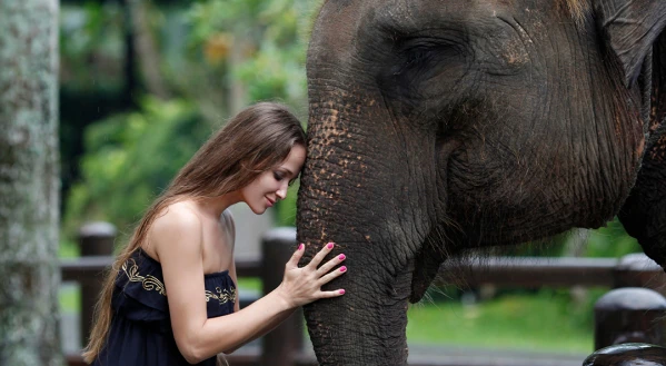 A mesés Indokína 3. kép