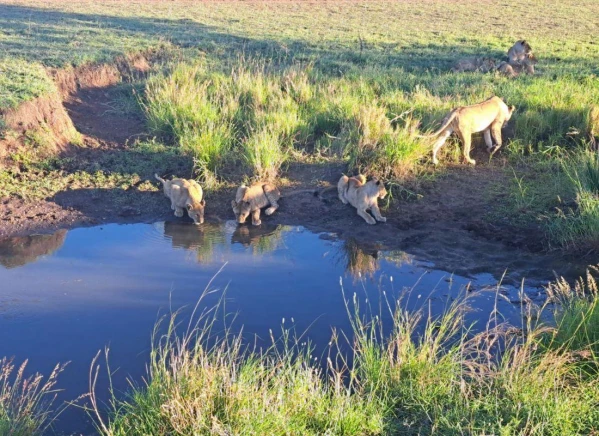 Szafari Tanzániában Zanzibári pihenéssel **** 1. kép