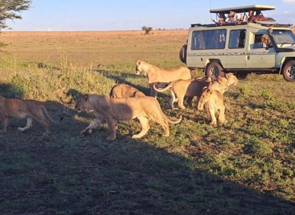 Szafari Tanzániában Zanzibári pihenéssel **** 7. kép