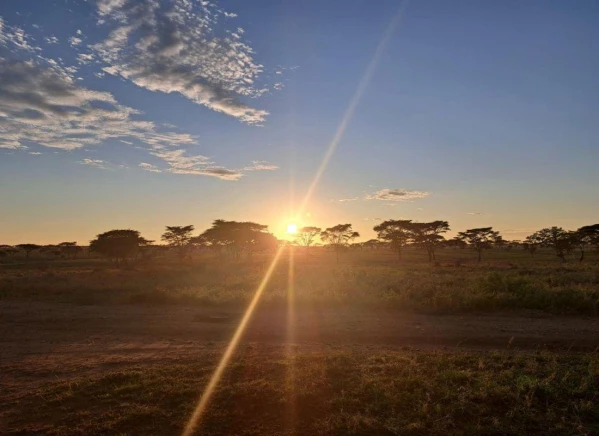 Szafari Tanzániában Zanzibári pihenéssel **** 14. kép