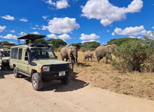 Szafari Tanzániában Zanzibári pihenéssel **** 22. kép