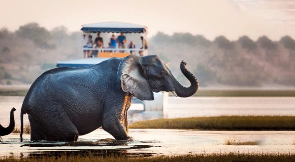 Ahol két óceán találkozik - Dél-Afrika 1. kép