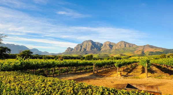 Ahol két óceán találkozik - Dél-Afrika 4. kép