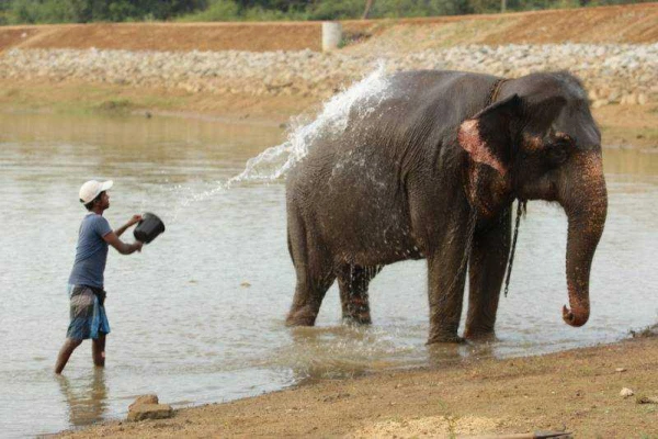 Nagykörút Sri Lankán 5. kép