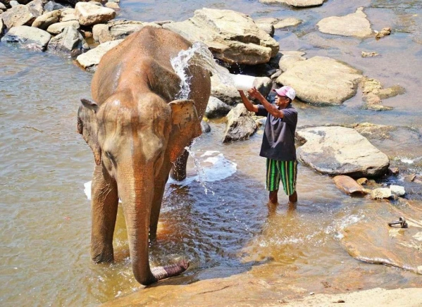 Nagykörút Sri Lankán 18. kép