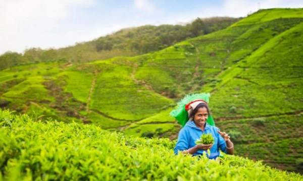 Nagykörút Sri Lankán 21. kép