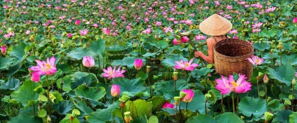 Körutazás Vietnámban 8. kép