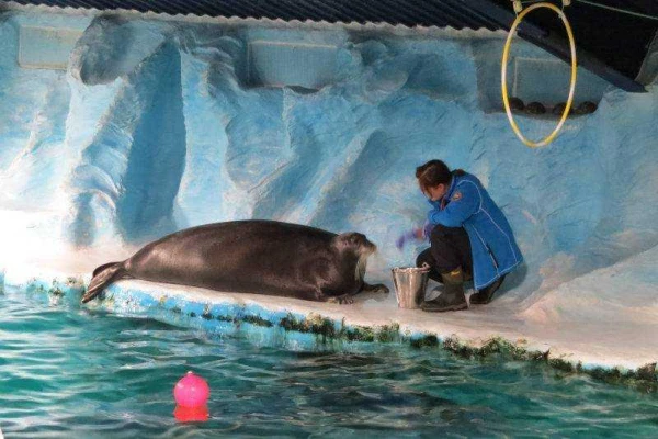 Az Aurora Borealis titkai **** 4. kép