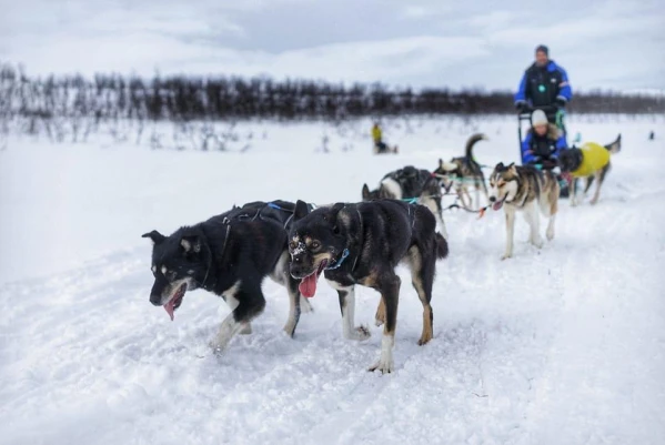 Az Aurora Borealis titkai **** 9. kép