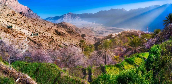 ARÁBIA TITKAI - OMÁN ÉS AZ ARAB EMÍRSÉGEK **** 10. kép