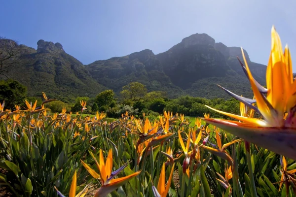 AZ IGAZI DÉL-AFRIKA ÉS A VIKTÓRIA-VÍZESÉS 24. kép