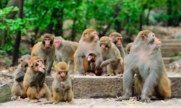 Hongkong-Makaó, szilveszteri pihenéssel Hainan szigetén 6. kép