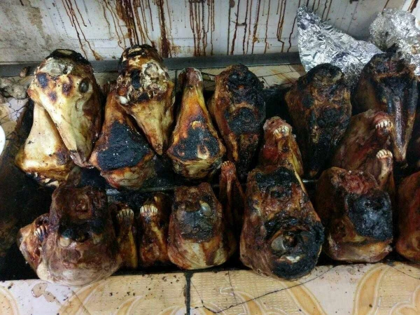 Káprázatos hét Algériában 23. kép