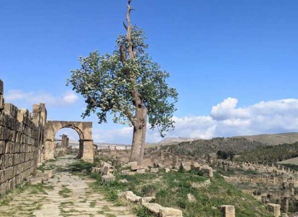 Káprázatos hét Algériában 4. kép