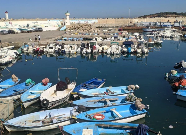 Káprázatos hét Algériában 18. kép