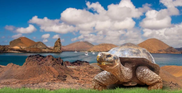 PANAMA - KOLUMBIA - ECUADOR ÉS A GALAPAGOS-SZIGETEK 2. kép