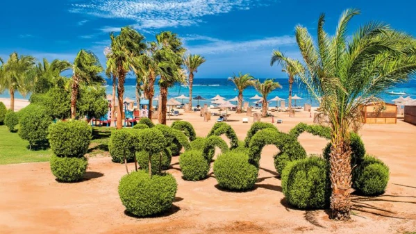 Egyiptom - Kairó, Alexandria 6. kép