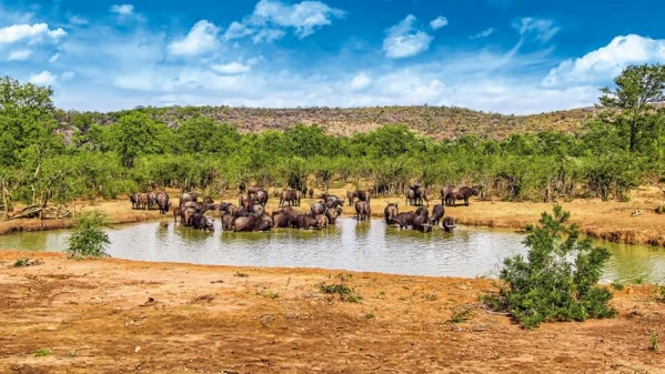 Dél-Afrika 10. kép