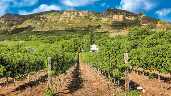 Dél-Afrika 13. kép