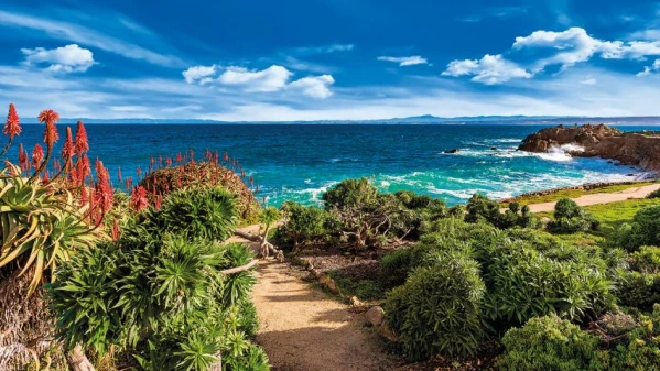 Körutazás a Nyugati parton 4. kép