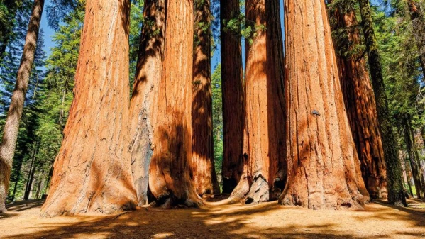 Körutazás a Nyugati parton 9. kép