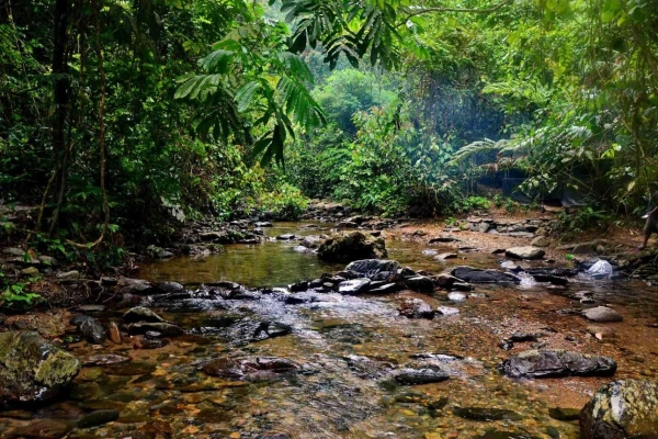 A Maláj-félsziget csodái és Szumátra vadvilága 5. kép