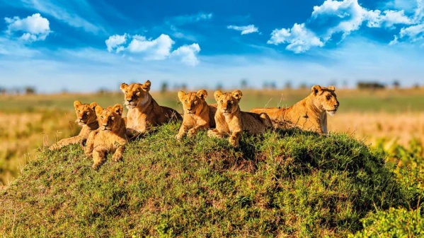 Kenya-Tanzánia szafari kalandtúra 10. kép