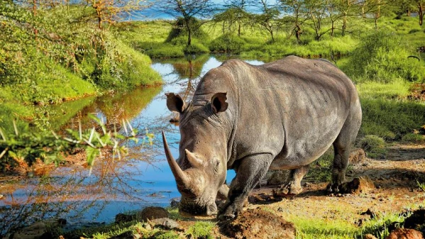 Kenya-Tanzánia szafari kalandtúra 12. kép