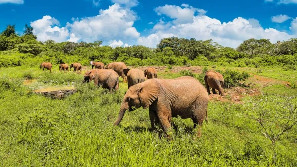 Kenya-Tanzánia szafari kalandtúra 14. kép