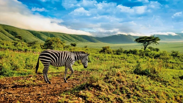 Kenya-Tanzánia szafari kalandtúra 7. kép