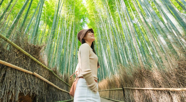 Japán cseresznyevirágzáskor 5. kép