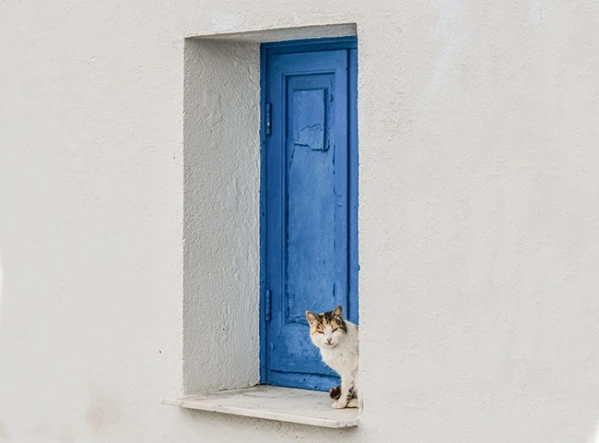 Tavaszi barangolások Cipruson 3. kép
