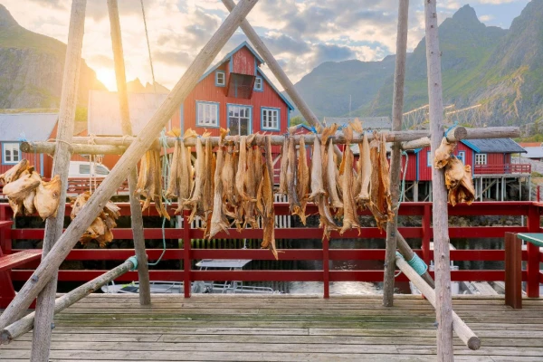 A SARKKÖRÖN IS TÚL - NORDKAPP 15. kép