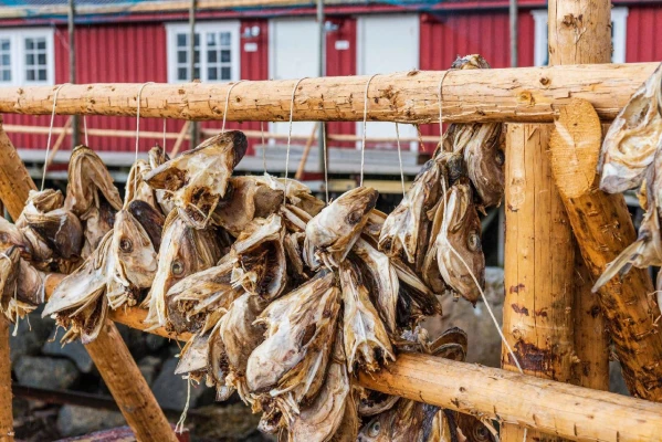 A SARKKÖRÖN IS TÚL - NORDKAPP 10. kép