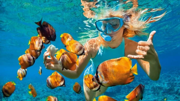 Ausztrál körutazás 5. kép