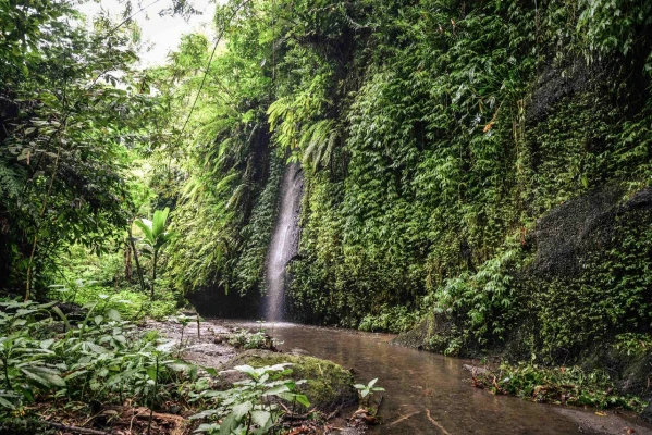 INDONÉZ SZIGETVILÁG SZÉPSÉGEI 2. kép