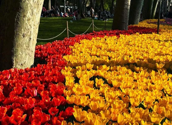Isztambul és a Boszporusz a Nemzetközi Tulipánfesztivál idején **** 7. kép