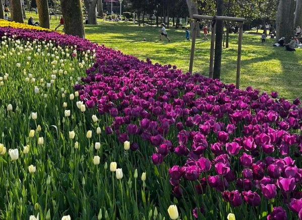 Isztambul és a Boszporusz a Nemzetközi Tulipánfesztivál idején **** 22. kép